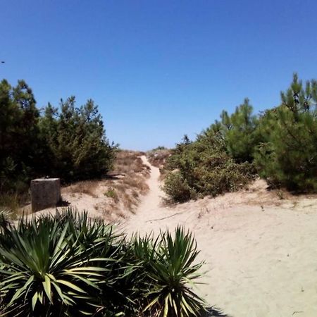 Casa Nel Parco Sulla Spiaggia Pisa Bagian luar foto