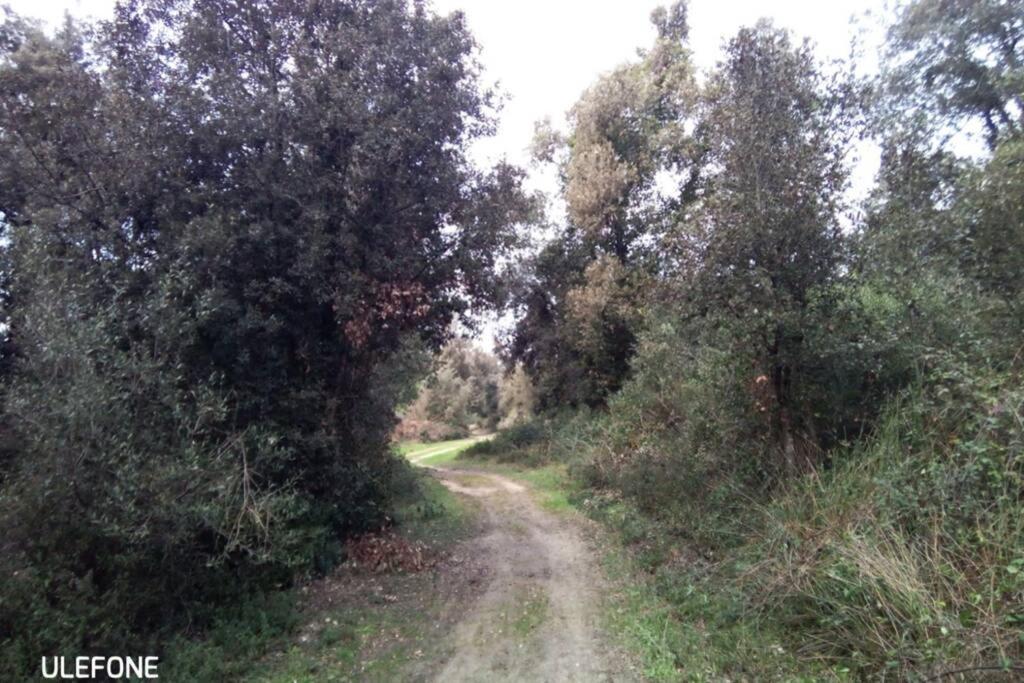 Casa Nel Parco Sulla Spiaggia Pisa Bagian luar foto