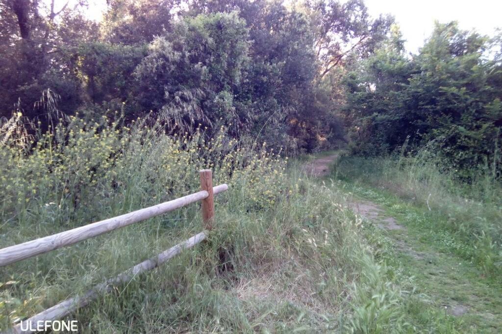 Casa Nel Parco Sulla Spiaggia Pisa Bagian luar foto