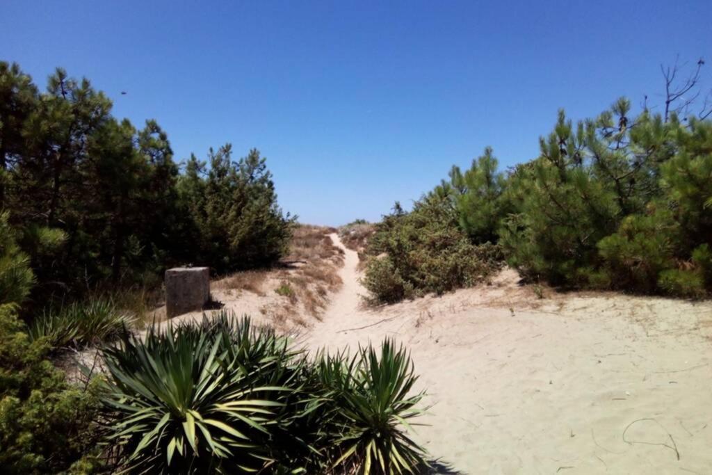 Casa Nel Parco Sulla Spiaggia Pisa Bagian luar foto