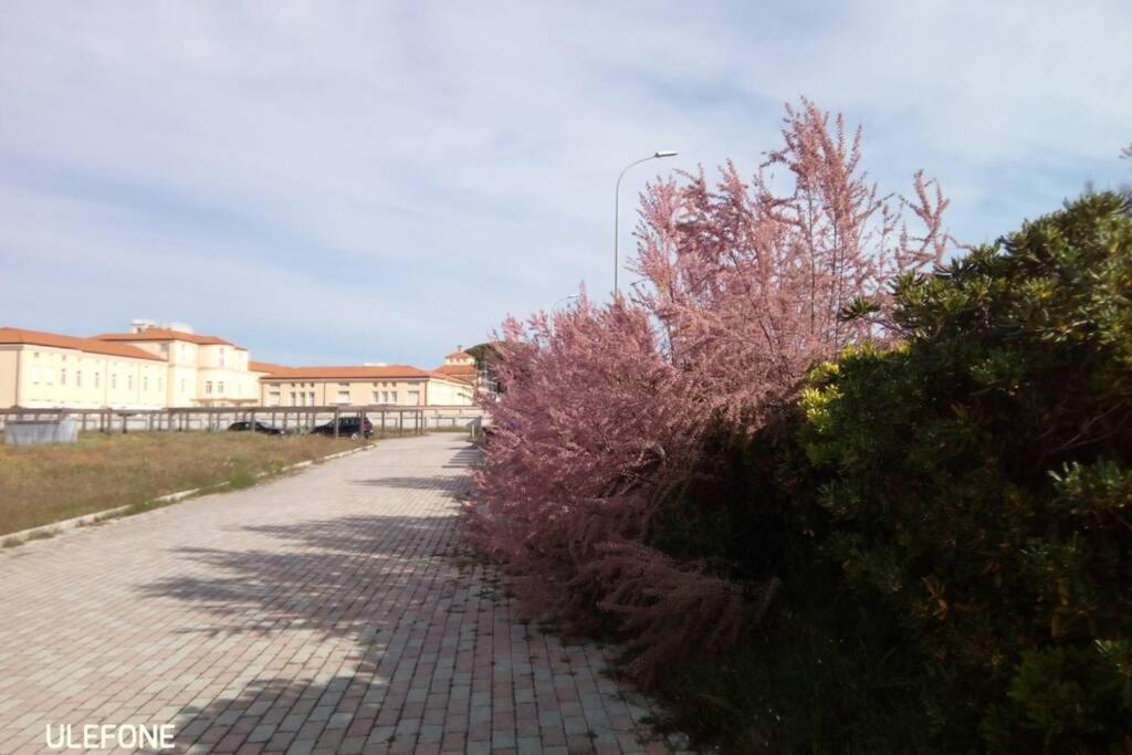 Casa Nel Parco Sulla Spiaggia Pisa Bagian luar foto